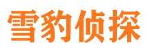 奇台侦探公司